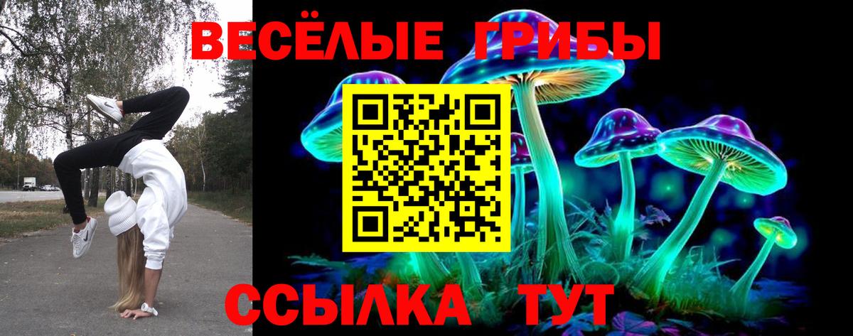 Псилоцибиновые грибы MAGIC MUSHROOMS Нягань