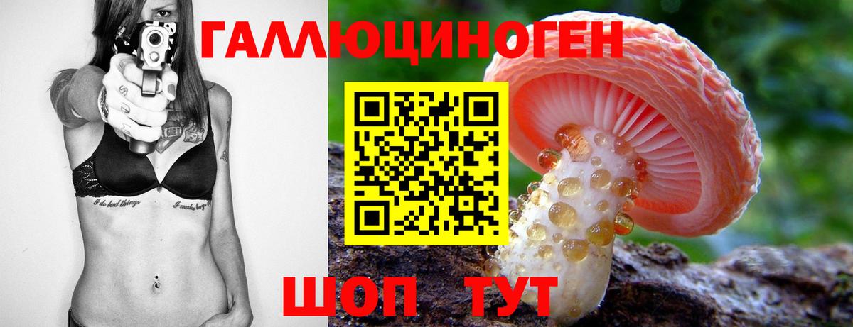Галлюциногенные грибы Psilocybine cubensis  Вход с VPN  Нягань  Псилоцибиновые грибы Cubensis 